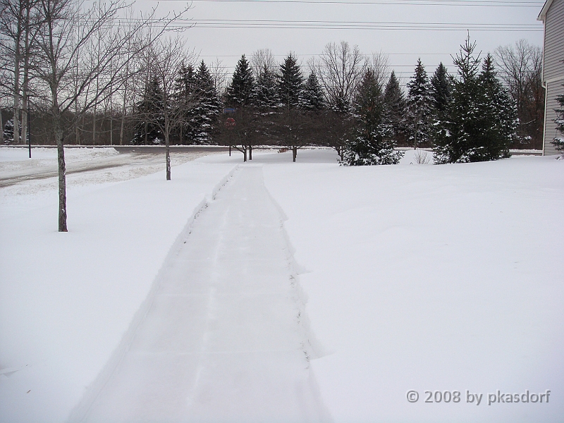 010 A2 Snowfall & Trees [2008 Dec 20].JPG - Digging out after a big snowfall in Ann Arbor, Michigan.